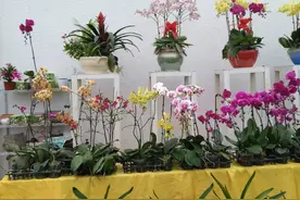 一万块钱你能用多久！图片