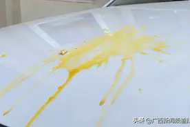 气愤！4枚鸡蛋从天而降，蛋壳弹射伤人，南宁一小区两个月发生8起高空抛物图片