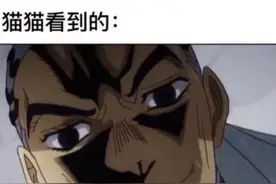 从猫的视角来看人类应该是什么样子？图片