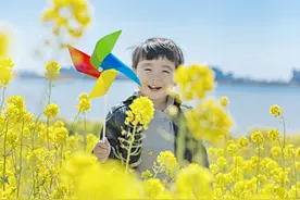 邯郸这个宝藏公园一年四季风景都超美，免费还可以带宠物图片