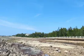 退潮后的犀牛脚大环村·急水门景色惊艳了！赶海、挖螺、撬蚝都行图片