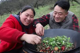 安徽农民夫妻，边种田边做饭，被骂作秀，却年入100万，凭啥？图片