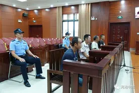 说法 | 抓青蛙也犯法！环江4名男子抓了116只野生蛙被判刑图片