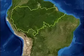 这里被称为人类的禁区，亚马逊雨林到底有多恐怖？图片