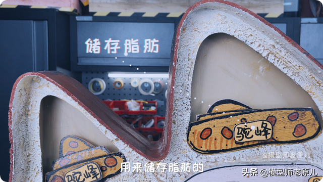 骆驼的驼峰竟然不是用来存水的？那它靠啥在沙漠里笑嘻嘻？