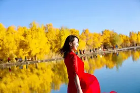 额济纳旗，一个累死也要去的“旅游地狱”图片