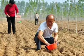 一九七九年，难忘的那一年高考图片