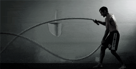 什么是蛋白质？什么是碳水化合物？什么是脂肪？怎么吃？