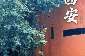 下班逛西安！这条巷子藏着满满的小惊喜图片