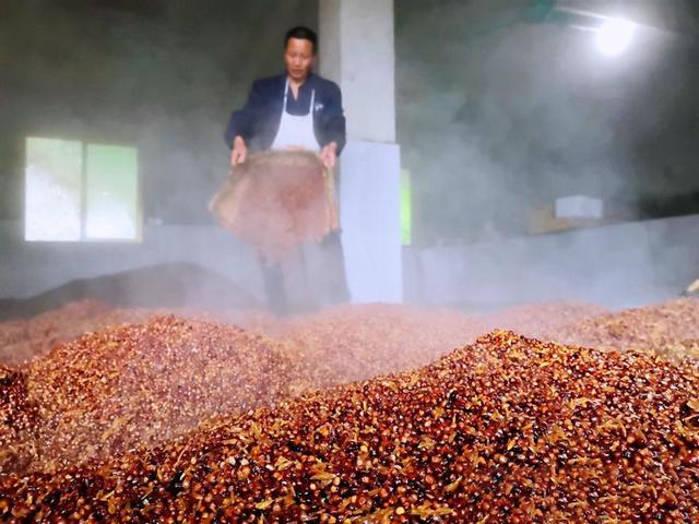 你一定要知道酒发苦的六大原因，收藏备用