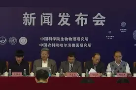 非洲猪瘟病毒颗粒“真面目”被首次揭开 助力新型疫苗开发视频封面