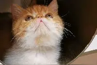 任嘉伦新歌来袭，mv里和张钧甯上演甜蜜恋爱，《不说再见》追定了图片