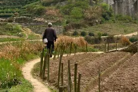 二伯之死——一位农村孤寡老人的体面退出图片