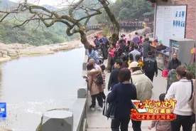 莆田仙游：1000多名留莆过年外地员工免费游览九鲤湖图片