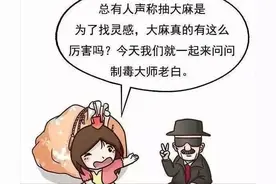 【禁毒漫画】  关于大麻的恐怖真相，你面临的代价真的比你想象的大！图片