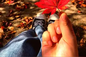 一叶知秋？最全秋叶大赏，带你从北到南看个遍！图片