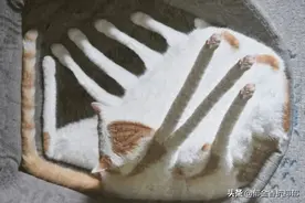 我真的有病吗？其实无论病不病，你都一样可以活出人生的精彩图片