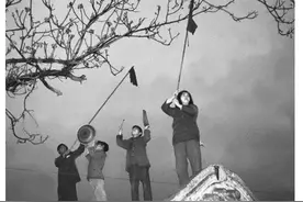 1958年的全民“剿雀”战：男女老少齐上阵，让麻雀几乎断子绝孙图片