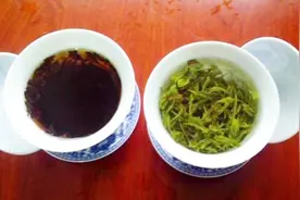 红茶养胃，绿茶就伤胃吗？了解的人不多，营养师来告诉你答案视频封面
