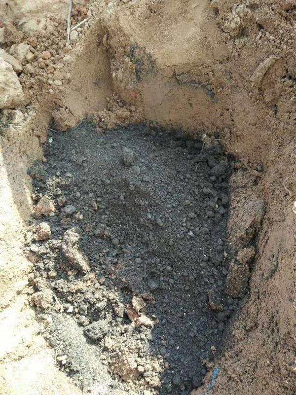 海南农业领军企业---东方嘉品源农业科技开发有限公司