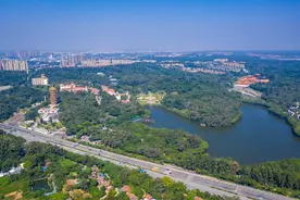 【青山绿水】增绿超5000亩！佛山三水继续大力推进高品质森林城市建设图片