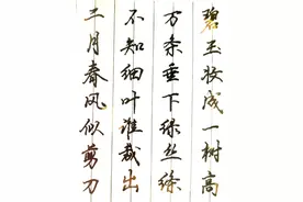 都喜欢写“连笔字”，快速又潇洒，中性笔行楷手写体，诗词书写图片