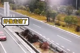 泉南：高速倒车   倒着倒着警车来了图片