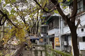 重庆城中村拆迁在即，未来将成商业中心，1500名村民“喜奔小康”图片