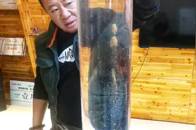 饵料的状态不好调？学他这个手法，想要的状态马上有视频封面