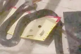 广东一小区出现十余条眼镜蛇！有的爬到门外，有的被业主踩到图片