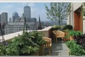 买房顶楼送大阳台，装修一下才发现占了大便宜图片