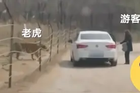 凡事不守规矩，就要付出代价图片