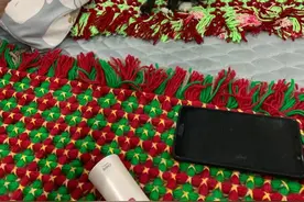 邻居要出国，让我养她捡来的小黑猫，不到一年她再看到猫，流泪了图片