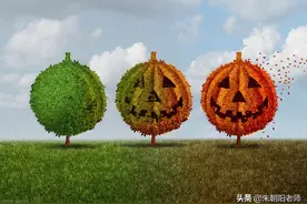 生物的进化与演变图片