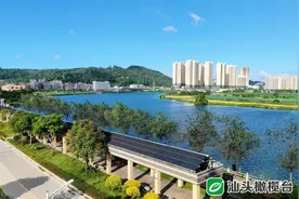 【学习身边榜样】市优秀共产党员陈钊桦:光明社区谱写小康圆梦新篇章图片