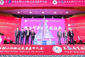 第十届东西部小动物临床兽医师大会现场图片