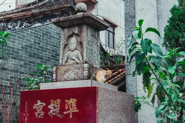 大鹏所城好玩吗 大鹏所城好玩儿吗(图75) 大鹏所城好玩吗 大鹏所城好玩儿吗(图75)