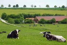 发达国家的农民怎么种地？跟国内对比，区别在哪？图片