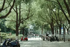 生活逼迫我们成为大人，但今年夏天我想做个小孩图片