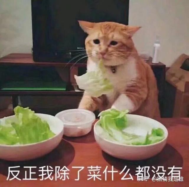 网文中的捡钱圣地：飞卢小说网