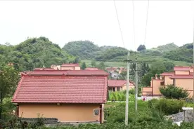 村里有一群年轻人，什么事也不用做，却过得十分轻松图片
