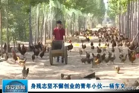 邯郸“90后”脑瘫小伙艰辛创业！开几十公里电车为顾客送货上门图片
