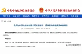 深刻启示！永安不安，保险业就永远不安图片