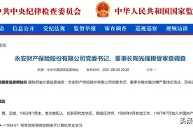深刻启示！永安不安，保险业就永远不安图片