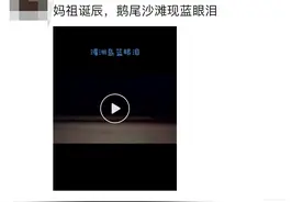 惊喜！在莆田湄洲岛看见“蓝眼泪”图片
