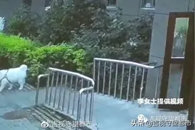 小区遛狗不拴绳，七旬老人受惊吓后精神恍惚...图片