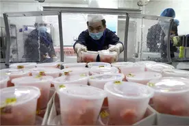 疫情下，餐饮企业怎么承担社会责任？这份重磅报告讲透了图片