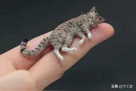小猫小狗小模型，知道材质的请举手图片