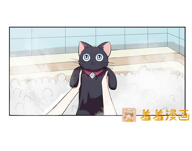 夜路走多了，竟捡到宝，带着巨钻的小黑猫一只