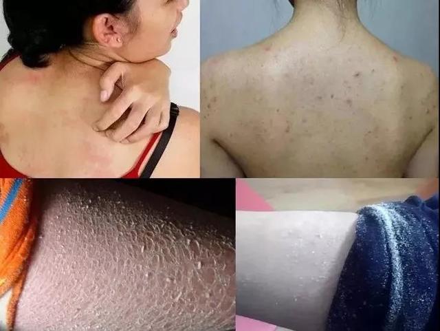 身体乳刘诗诗